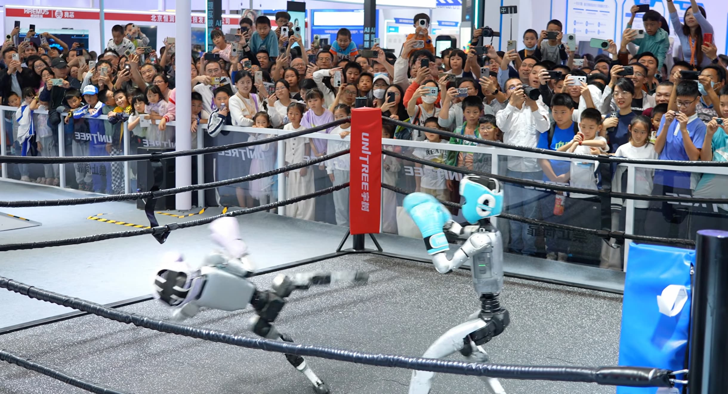 Dwa humanoidalne roboty boksują na ringu, a za linami tłum widzów nagrywa je telefonami